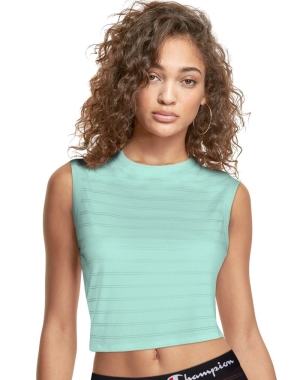 Champion Cropped Nervürlü Kadın Tişört Yeşil | CF6173285