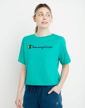 Champion Cropped Script Logo Kadın Tişört Turkuaz | AZ6482730