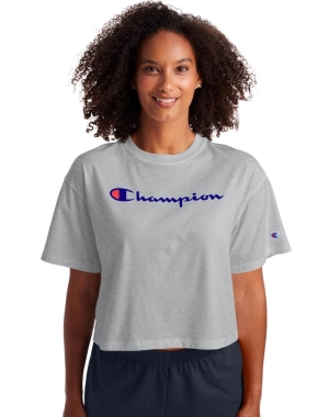 Champion Cropped Script Logo Kadın Tişört Gri | DO5971806