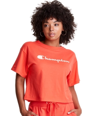 Champion Cropped Script Logo Kadın Tişört Turuncu | RD7401832