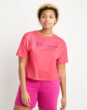 Champion Cropped Script Logo Kadın Tişört Mercan | SW7853461