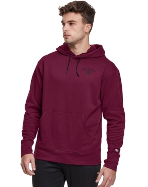 Champion Game Day Block Arch Logo Erkek Kapüşonlu Sweatshirt Mor | XM1894560