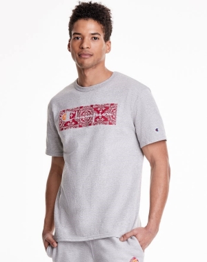 Champion Heritage Bandana Knockout With Vintage Script Logo Erkek Tişört Gri | KX1478953