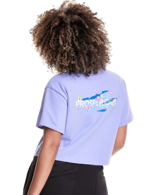 Champion Heritage Cropped Lunar New Year Prosperity Kadın Üstler Açık Mavi | OP8476309