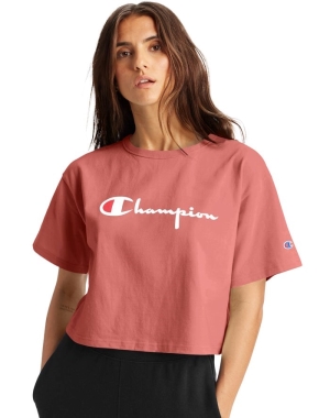 Champion Heritage Cropped Script Logo Kadın Üstler Mercan | GN1942036