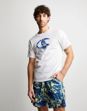 Champion Klasik Baskılı Chasing Waves Erkek Tişört Beyaz | PD6083274