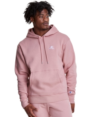 Champion Klasik Fleece Embroidered Applique Logo Erkek Kapüşonlu Sweatshirt Bej Rengi | TW9123048