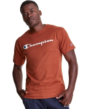 Champion Klasik Jersey Script Logo Erkek Tişört Kahverengi | BD7506193