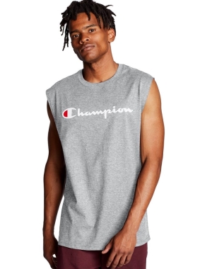 Champion Klasik Jersey Script Logo Erkek Tişört Gri | CL3714529