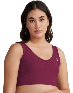 Champion Nervürlü Cropped Kadın Tişört Koyu Mor | EU7063851