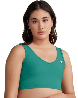 Champion Nervürlü Cropped Kadın Tişört Yeşil | VA4897356