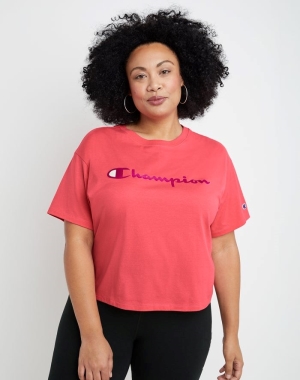 Champion Plus Cropped Script C Logo Kadın Tişört Mercan | QX2843701