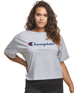 Champion Plus Cropped Script C Logo Kadın Tişört Gri | YR6038254