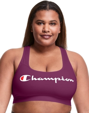 Champion Plus The Absolute Workout Script Logo Kadın Spor Sütyeni Koyu Mor | XW7092416