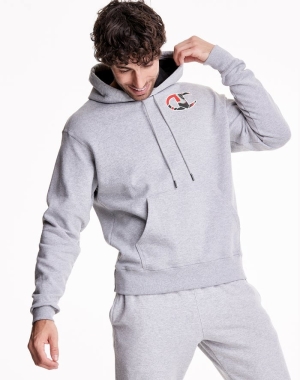 Champion Powerblend Fleece Liquid Filled C Erkek Kapüşonlu Sweatshirt Gri | SF4687510