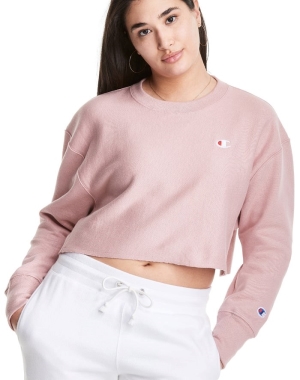 Champion Reverse Weave Cropped Cut-Off Crew Kadın Tişört Bej Rengi | WZ3086952