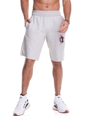 Champion Reverse Weave Cut-Off Lunar C With Lanterns Erkek Şort Gri | WT6325478