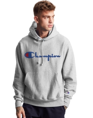 Champion Reverse Weave Vintage Script Logo Erkek Kapüşonlu Sweatshirt Gri | EO0843612