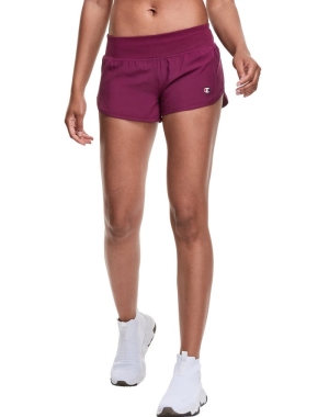 Champion Spor 2.5 Kadın Tişörtü Koyu Mor | OC0523148