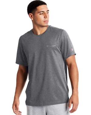 Champion Spor Erkek Tişört Gri | PH7485609