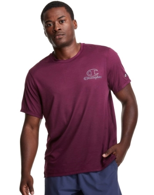 Champion Tee Outline Logo Erkek Tişört Mor | YQ9327805