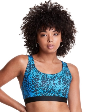 Champion The Absolute Print Kadın Spor Sütyeni Mavi Siyah | KO6905712