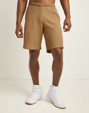 Champion Waffle Erkek Şort Haki | TN6408923