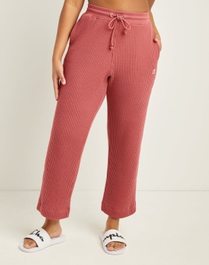 Champion Waffle Knit Geniş-Leg Kadın Şort Mercan | TA9185702