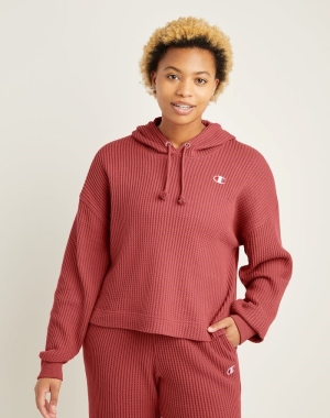 Champion Waffle Knit Kadın Eşofman Altı Mercan | WL9168532